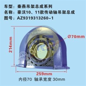 AZ9319313260