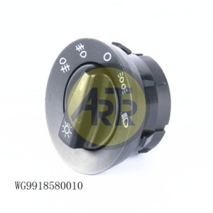 WG9918580010