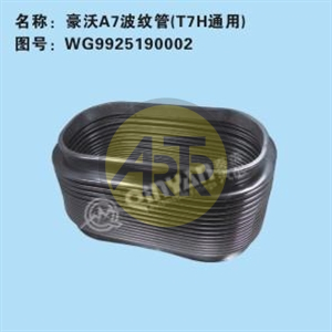WG9925190002