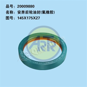 20009880