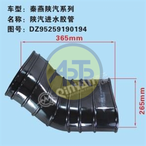 DZ95259190194