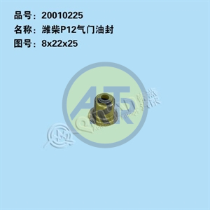 20010225