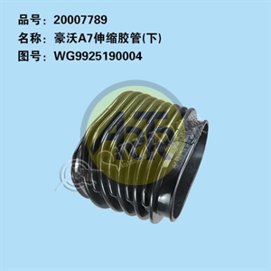 WG9925190004
