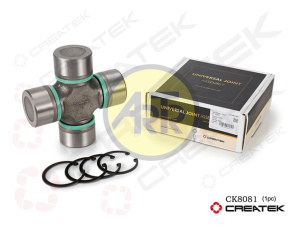 CK8081