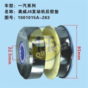 QN20003240