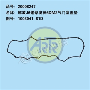 20008247