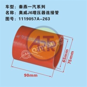 QN20006539