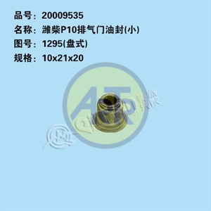 20009535