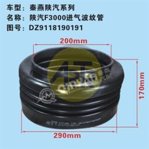 DZ9118190191
