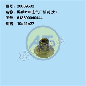 20009532