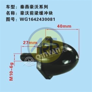 WG1642430081